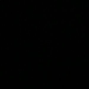 Meet your Posher, Jackson